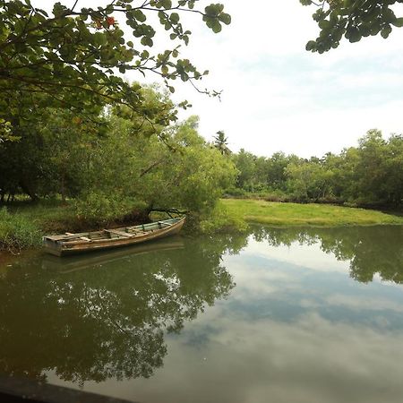 Lara Lake View Resort Thiruvananthapuram Exteriör bild